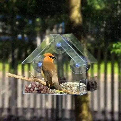Relaxdays Mangeoire à oiseaux, Distributeur nourriture, acrylique,  suspendre, fenêtre, 13 x 12,5 x 7,5 cm, transparent