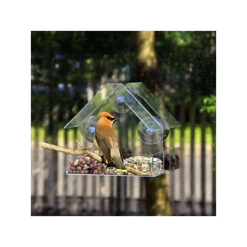Mangeoire et abreuvoir GENERIQUE Mangeoire Transparent à oiseaux maison  fenêtre distributeur de grain !